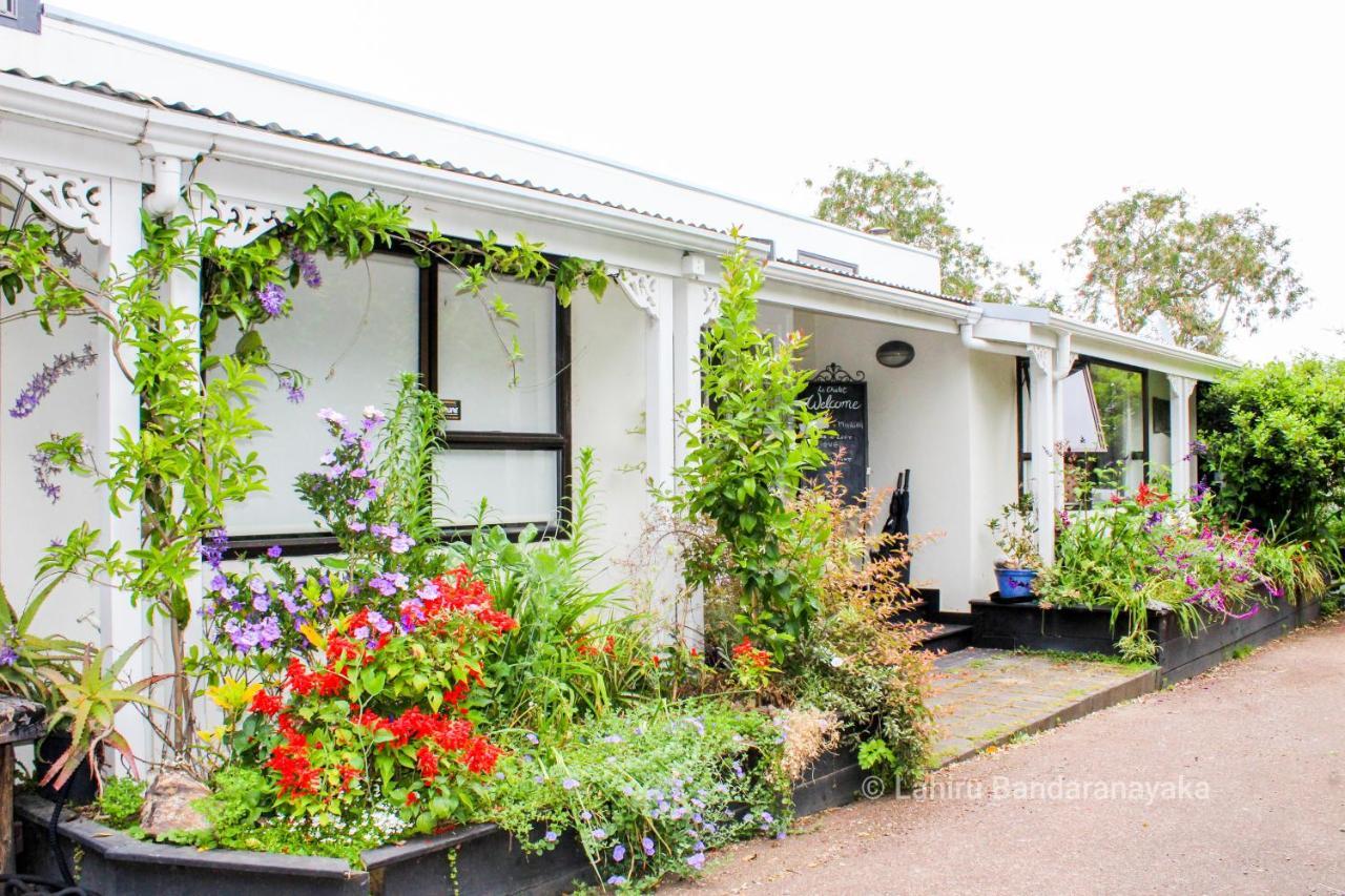 Le Chalet Waiheke Apartments Ostend Dış mekan fotoğraf
